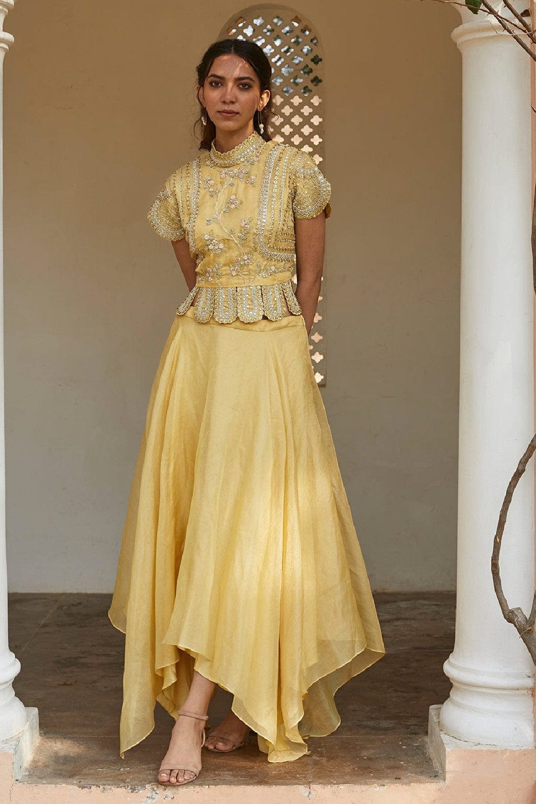 Taupe Lemon Optical Embroidered Crop Top and Skirt