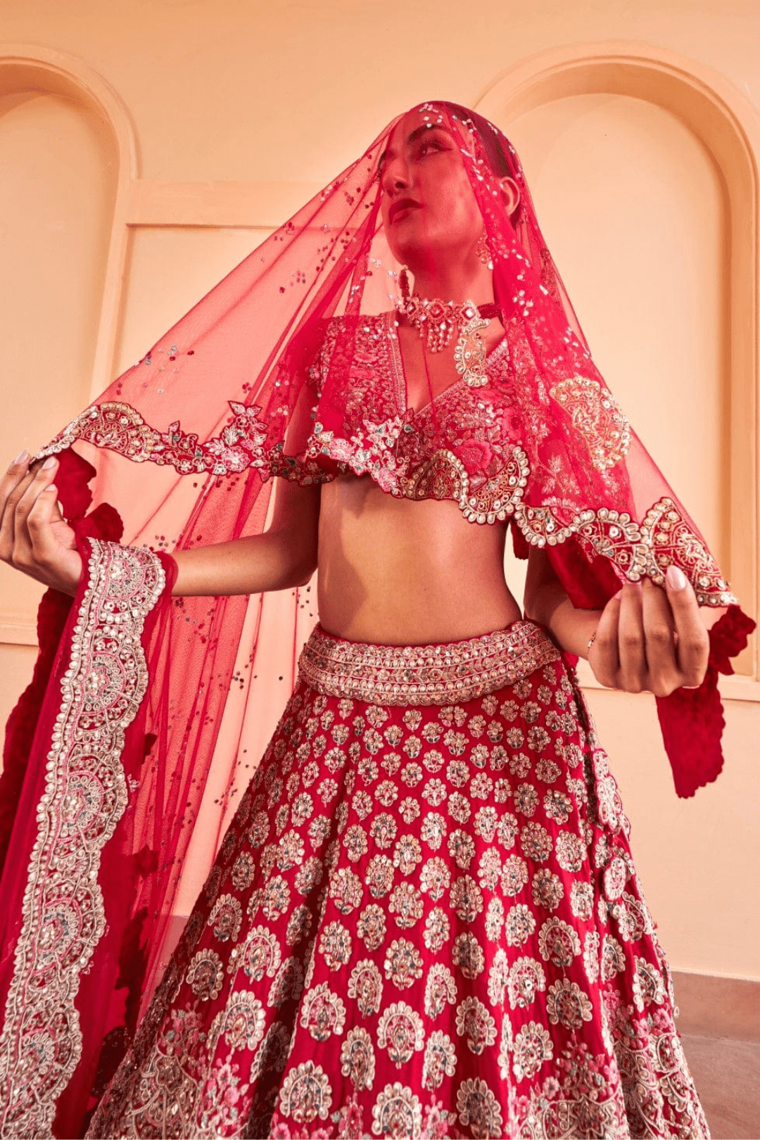Cut Ruby Embroidered Lehenga Set