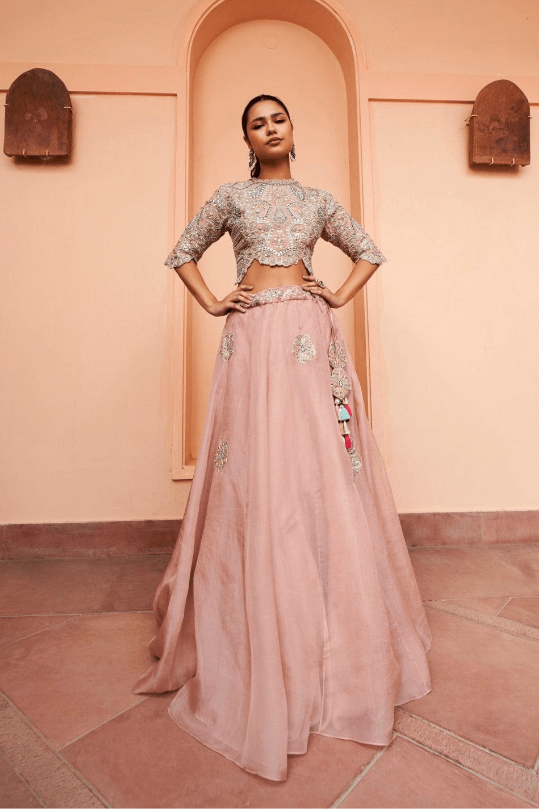 Tan Embroidered Lehenga Set