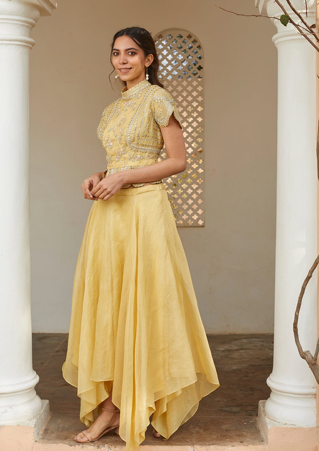 Taupe Lemon Optical Embroidered Crop Top and Skirt