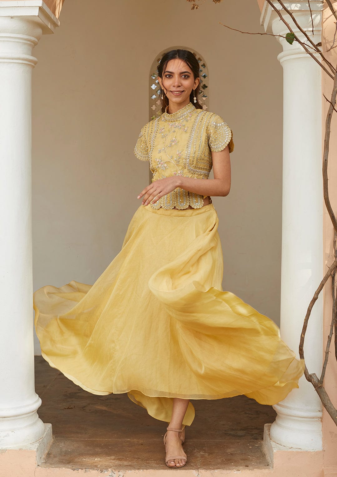 Taupe Lemon Optical Embroidered Crop Top and Skirt