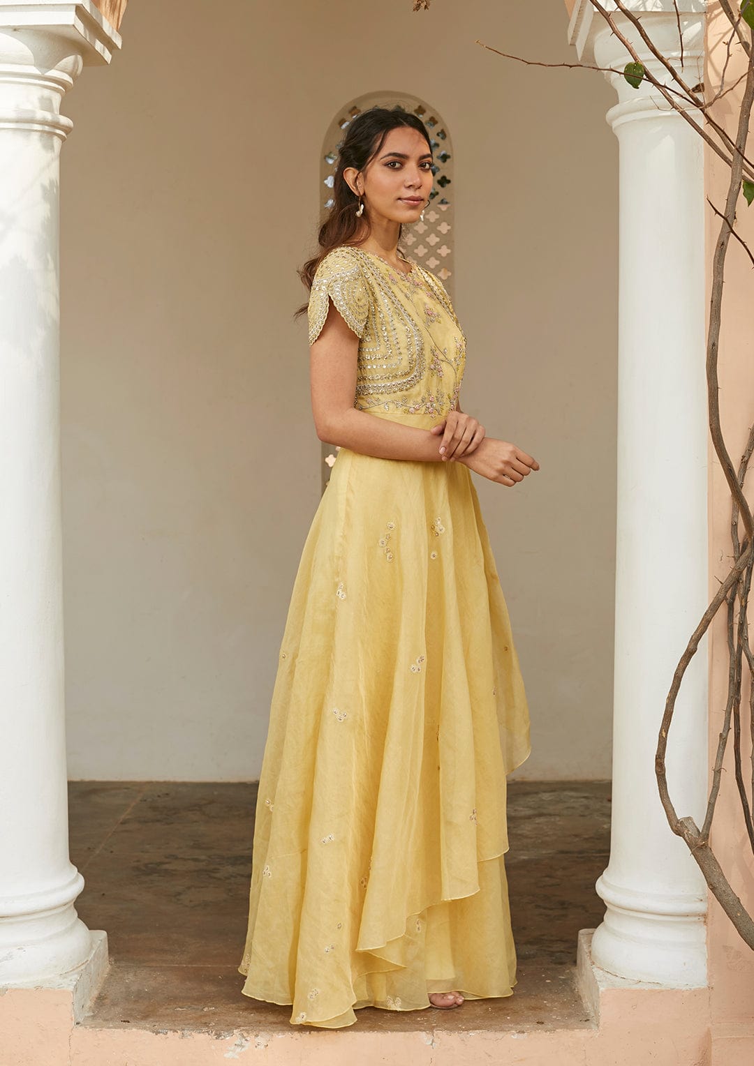 Taupe Lemon Embroidered Gown