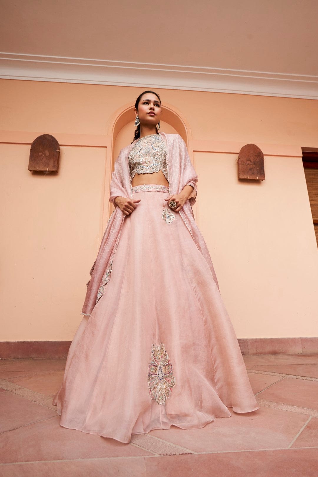 Tan Embroidered Lehenga Set