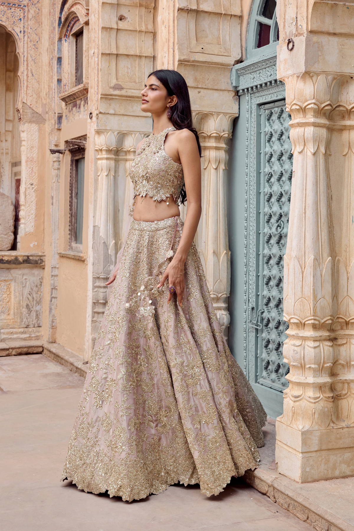 Tan Zardozi Embroidered Lehenga Set