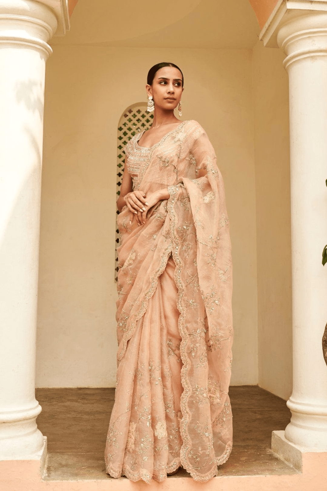 Sepia Rose Embroidered Saree